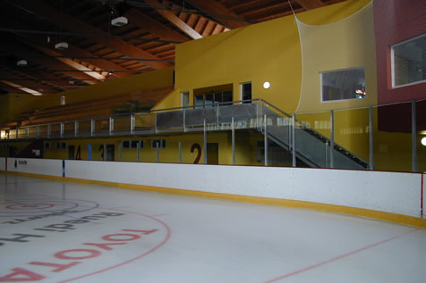 Puckschutz Gl&auml;ser